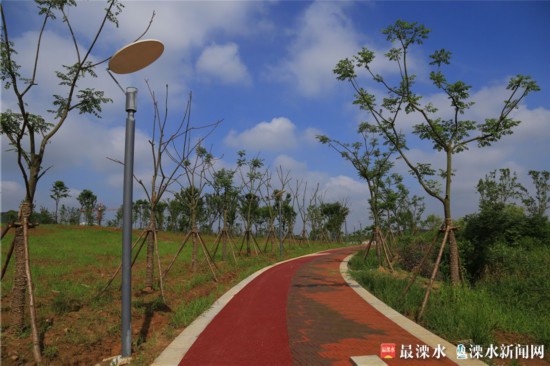 南京今年干旱嚴(yán)重，南京綠化公司為保衛(wèi)綠色家園辛苦工作